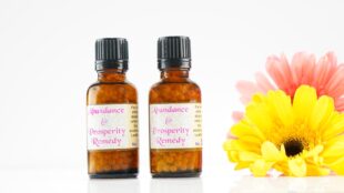 Abundance & Prosperity ( Pills )